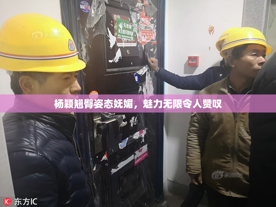 杨颖翘臀姿态妩媚，魅力无限令人赞叹