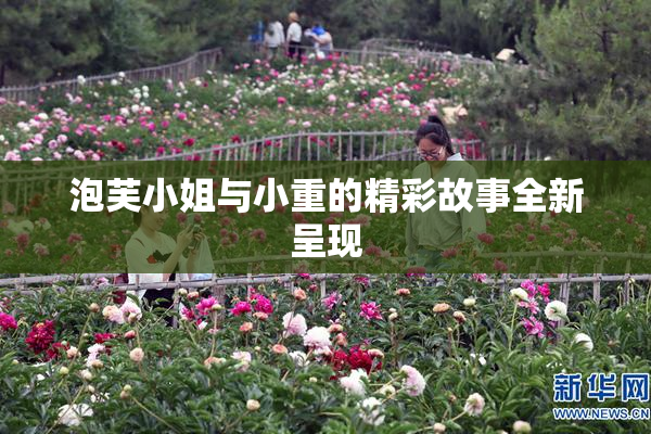 泡芙小姐与小重的精彩故事全新呈现