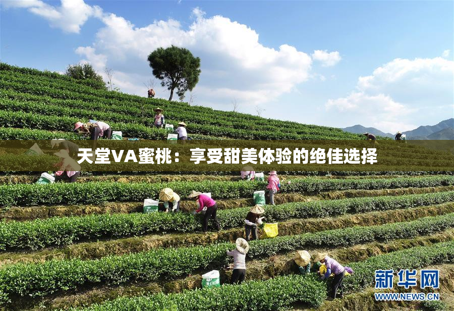 天堂VA蜜桃：享受甜美体验的绝佳选择