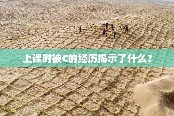 上课时被C的经历揭示了什么？