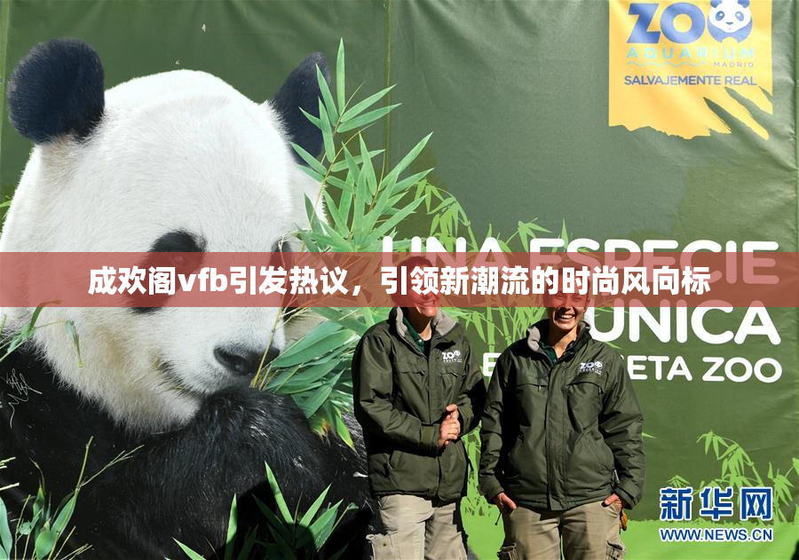成欢阁vfb引发热议，引领新潮流的时尚风向标