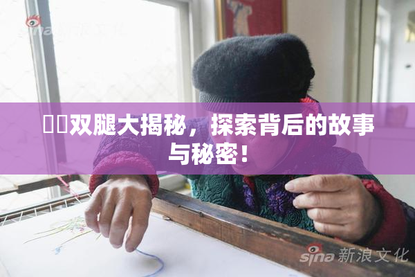 妺妺双腿大揭秘，探索背后的故事与秘密！