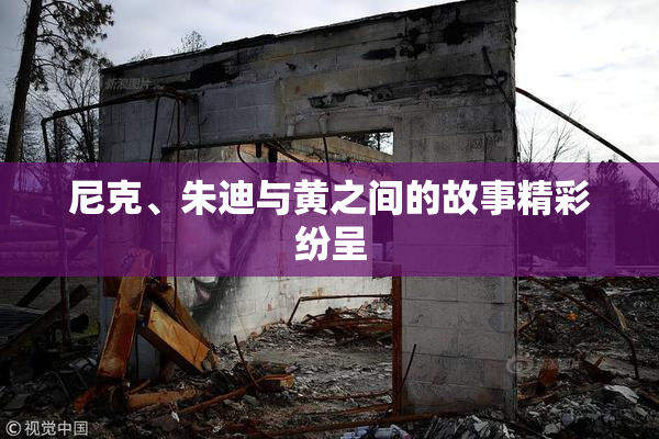 尼克、朱迪与黄之间的故事精彩纷呈