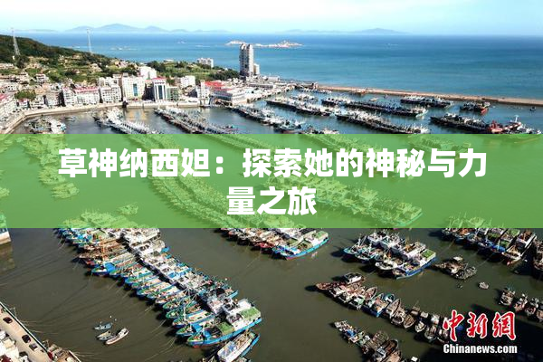 草神纳西妲：探索她的神秘与力量之旅