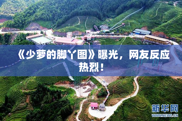 《少萝的脚丫图》曝光，网友反应热烈！