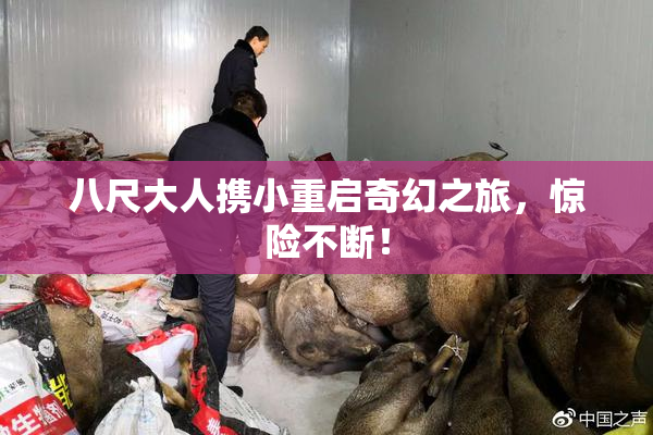 八尺大人携小重启奇幻之旅，惊险不断！