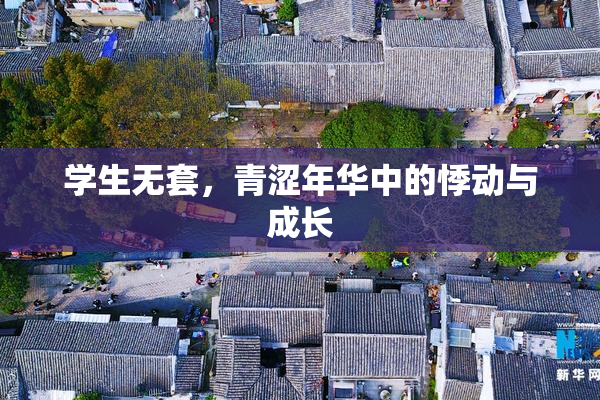 学生无套，青涩年华中的悸动与成长