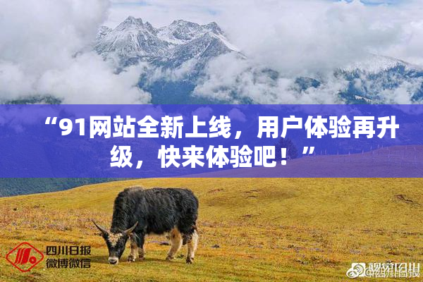 “91网站全新上线，用户体验再升级，快来体验吧！”