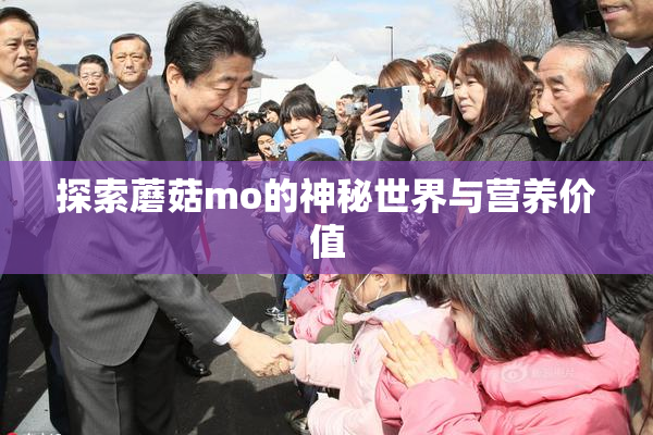 探索蘑菇mo的神秘世界与营养价值
