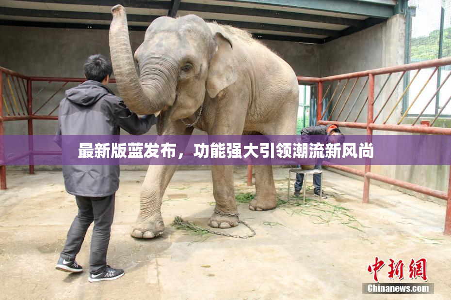 最新版蓝发布，功能强大引领潮流新风尚