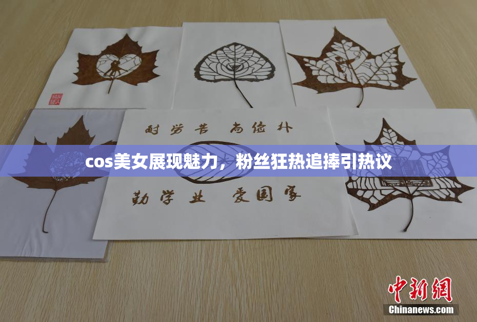cos美女展现魅力，粉丝狂热追捧引热议