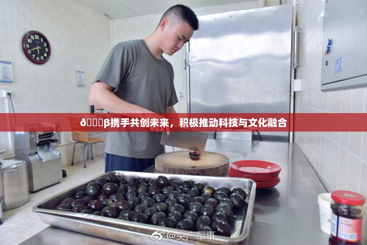 👙β携手共创未来，积极推动科技与文化融合