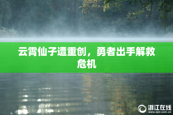 云霄仙子遭重创，勇者出手解救危机