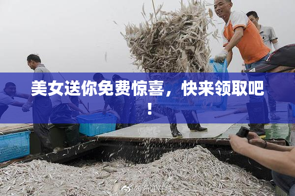 美女送你免费惊喜，快来领取吧！