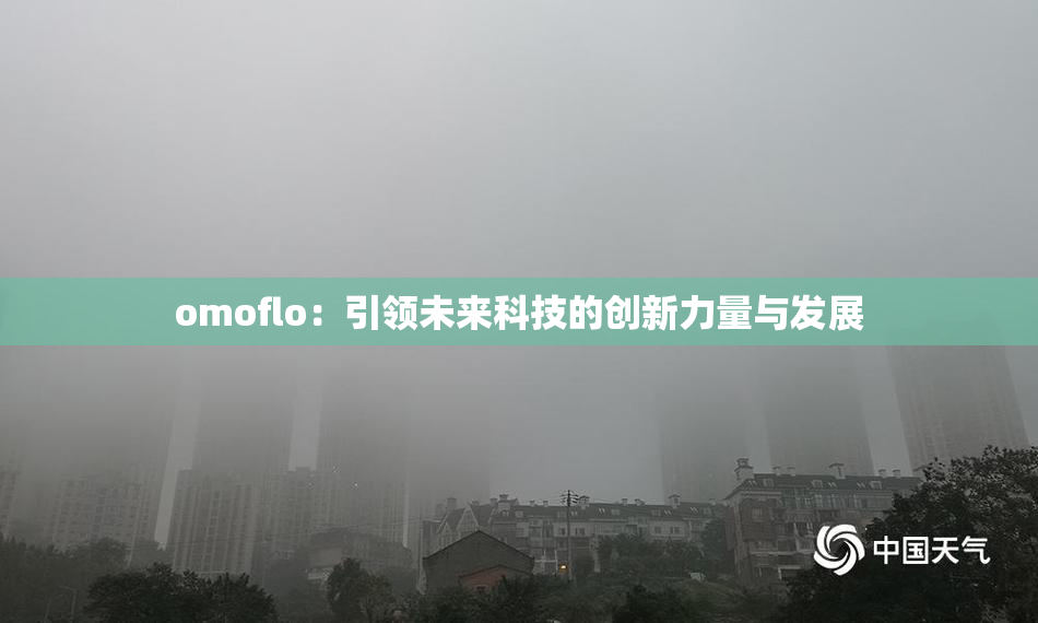 omoflo：引领未来科技的创新力量与发展