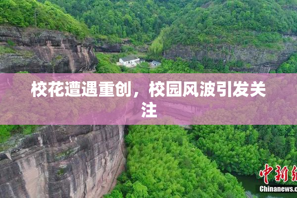 校花遭遇重创，校园风波引发关注