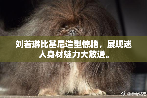 刘若琳比基尼造型惊艳，展现迷人身材魅力大放送。