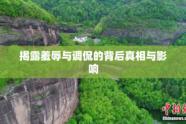 揭露羞辱与调侃的背后真相与影响