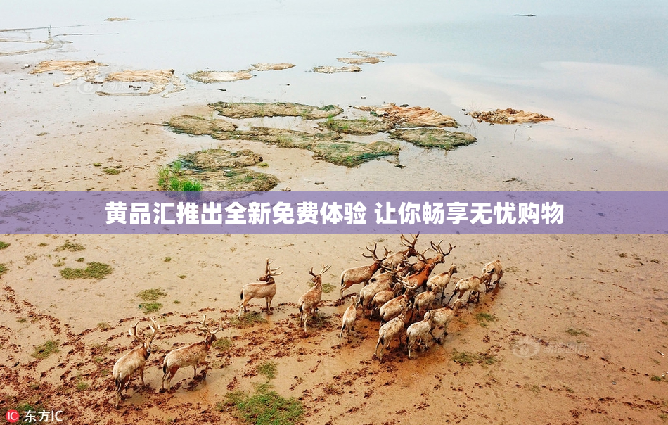 黄品汇推出全新免费体验 让你畅享无忧购物