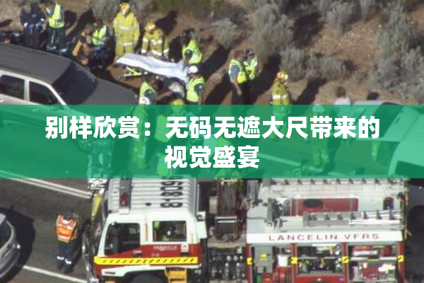 别样欣赏：无码无遮大尺带来的视觉盛宴
