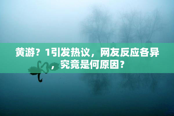 黄游？1引发热议，网友反应各异，究竟是何原因？