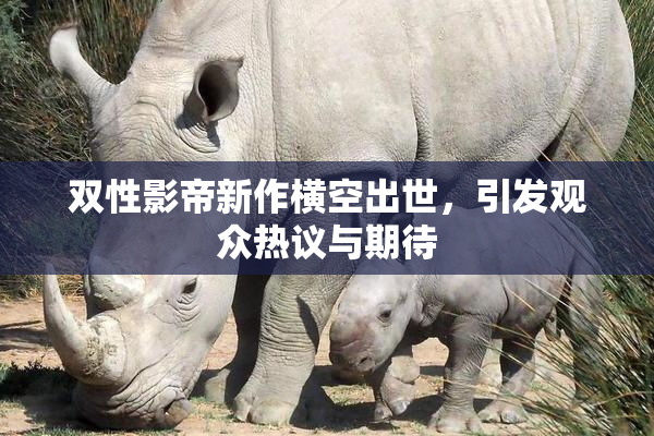 双性影帝新作横空出世，引发观众热议与期待