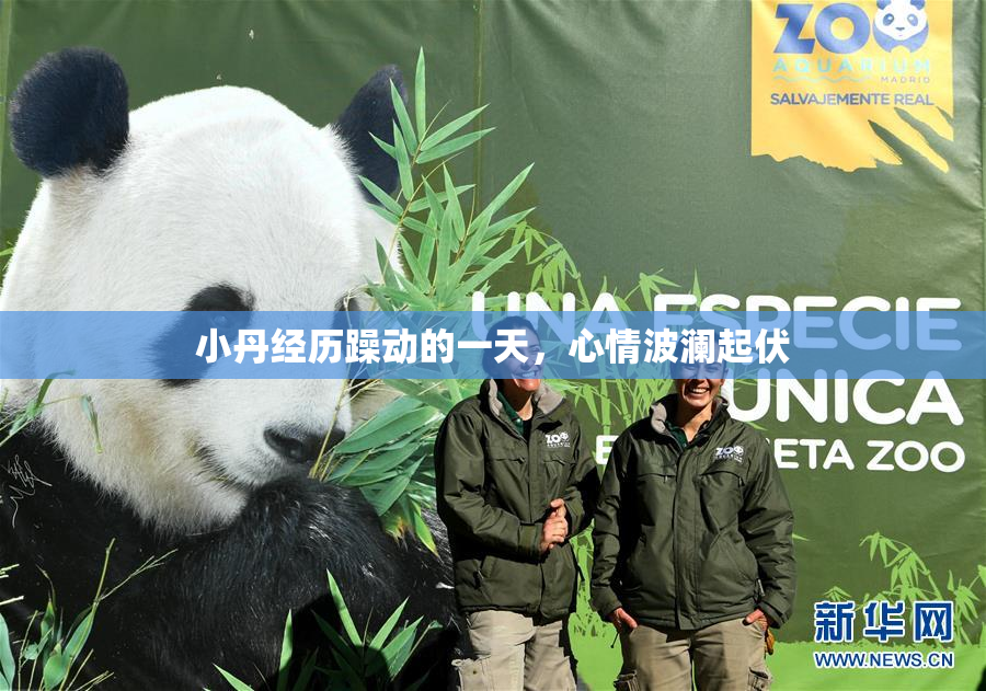 小丹经历躁动的一天，心情波澜起伏