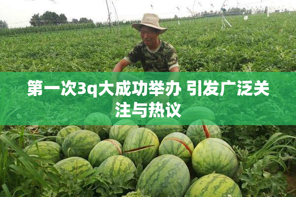第一次3q大成功举办 引发广泛关注与热议