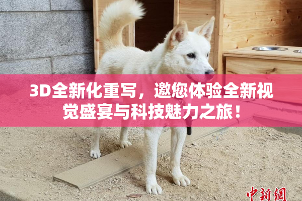 3D全新化重写，邀您体验全新视觉盛宴与科技魅力之旅！