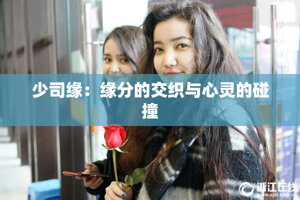 少司缘：缘分的交织与心灵的碰撞