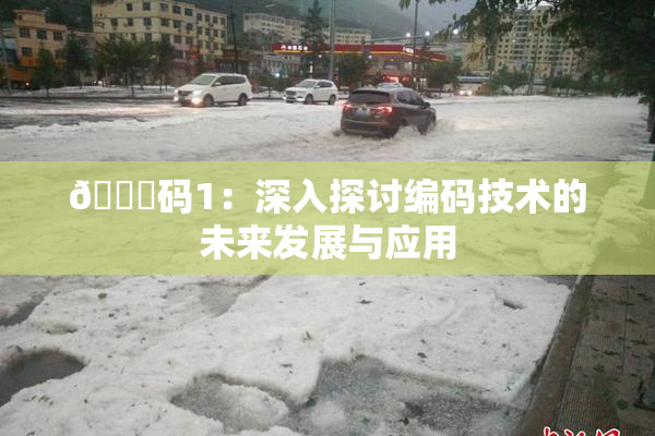 🈚码1：深入探讨编码技术的未来发展与应用