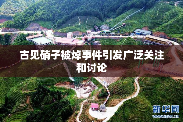 古见硝子被焯事件引发广泛关注和讨论