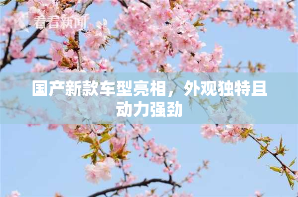 国产新款车型亮相，外观独特且动力强劲