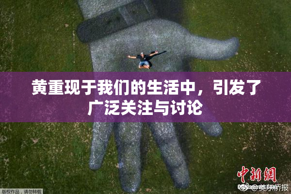 黄重现于我们的生活中，引发了广泛关注与讨论
