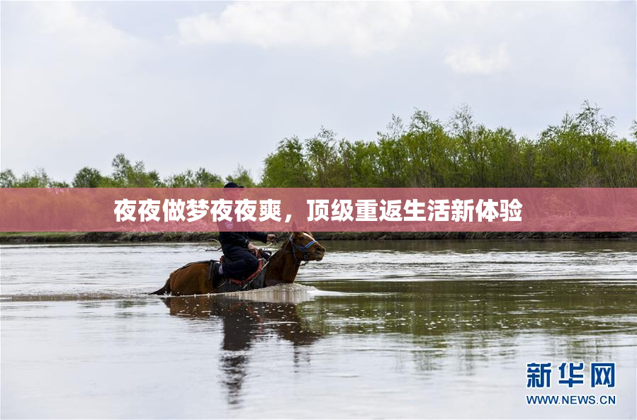 夜夜做梦夜夜爽，顶级重返生活新体验