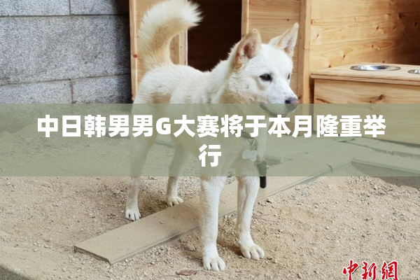 中日韩男男G大赛将于本月隆重举行