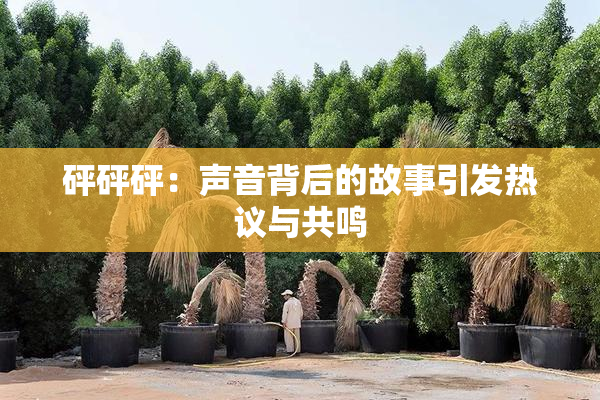砰砰砰：声音背后的故事引发热议与共鸣