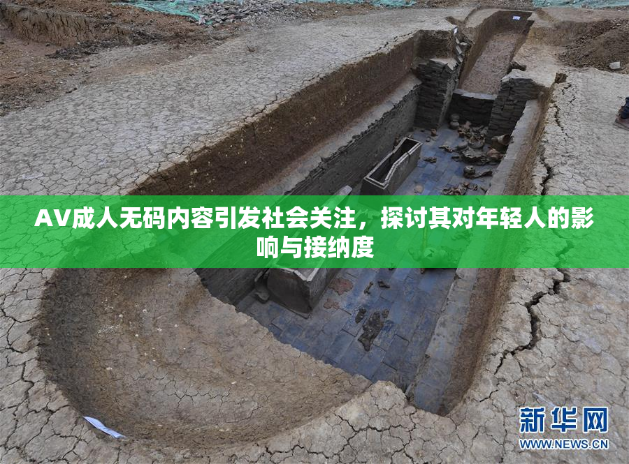 AV成人无码内容引发社会关注，探讨其对年轻人的影响与接纳度