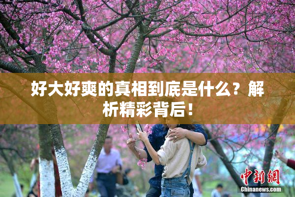 好大好爽的真相到底是什么？解析精彩背后！