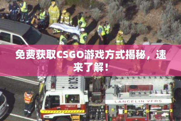 免费获取CSGO游戏方式揭秘，速来了解！