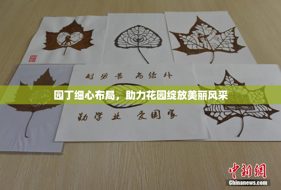 园丁细心布局，助力花园绽放美丽风采