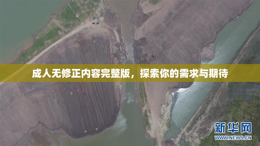 成人无修正内容完整版，探索你的需求与期待