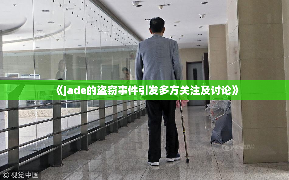 《jade的盗窃事件引发多方关注及讨论》