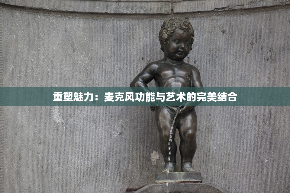 重塑魅力：麦克风功能与艺术的完美结合