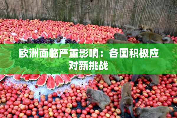 欧洲面临严重影响：各国积极应对新挑战