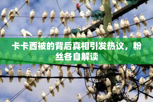 卡卡西被的背后真相引发热议，粉丝各自解读