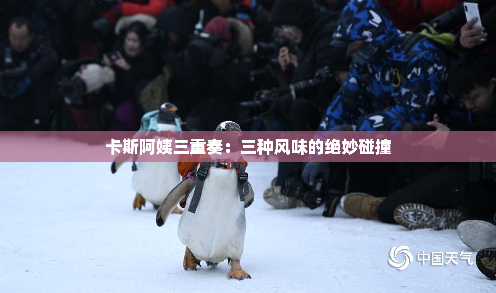 卡斯阿姨三重奏：三种风味的绝妙碰撞