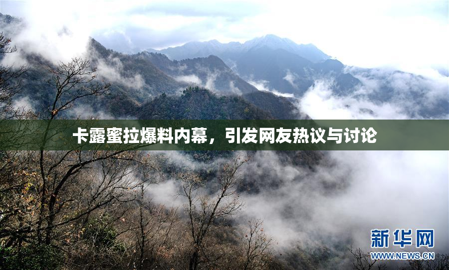 卡露蜜拉爆料内幕，引发网友热议与讨论