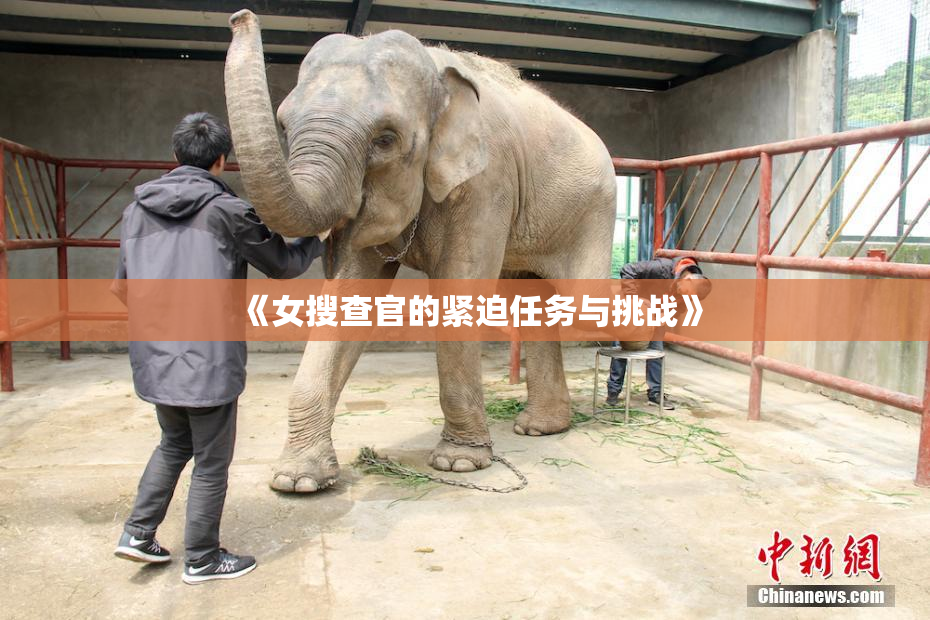 《女搜查官的紧迫任务与挑战》