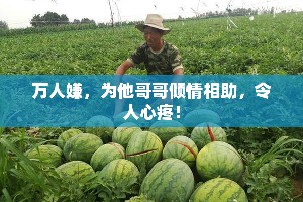 万人嫌，为他哥哥倾情相助，令人心疼！